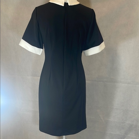 Elegant Black and White Dress - Picture 5 of 10